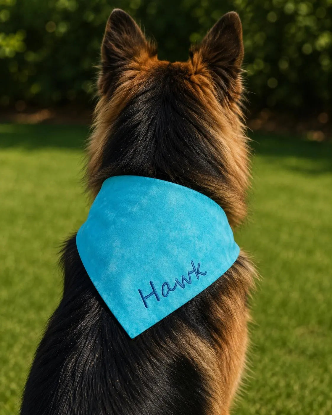 Custom Embroidered Dog Bandana | Personalized Over Collar Pet Accessory