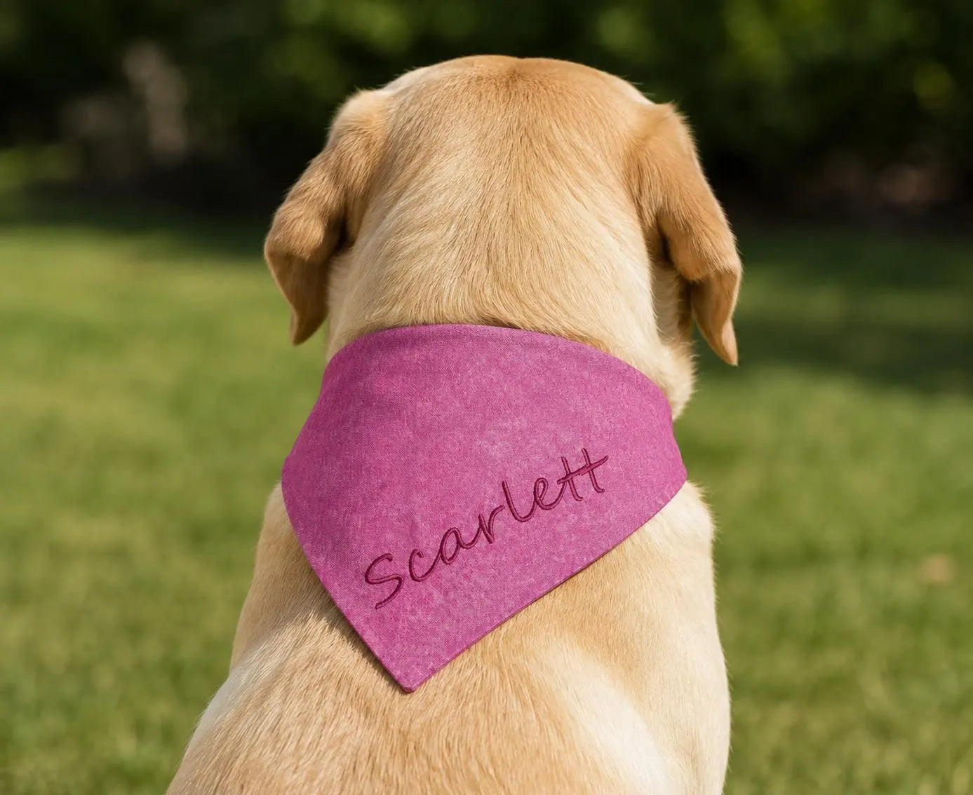 Custom Embroidered Dog Bandana | Personalized Over Collar Pet Accessory